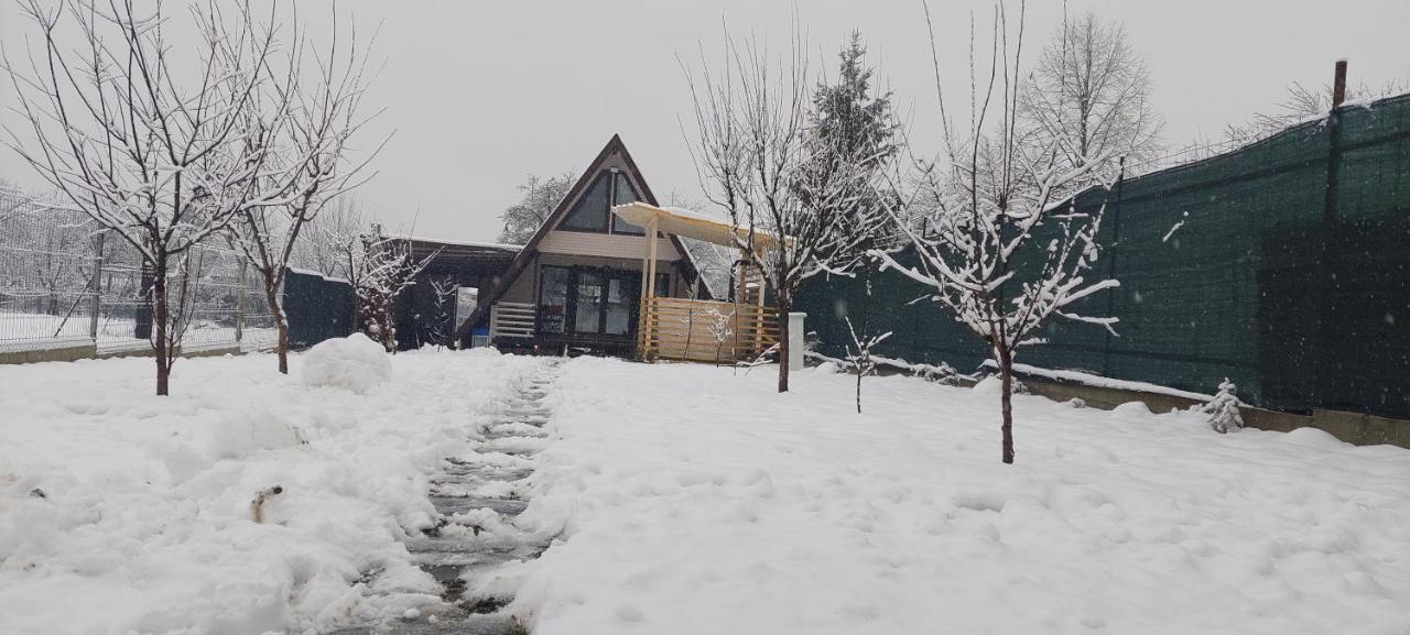Cabana La Bica Magureni Εξωτερικό φωτογραφία